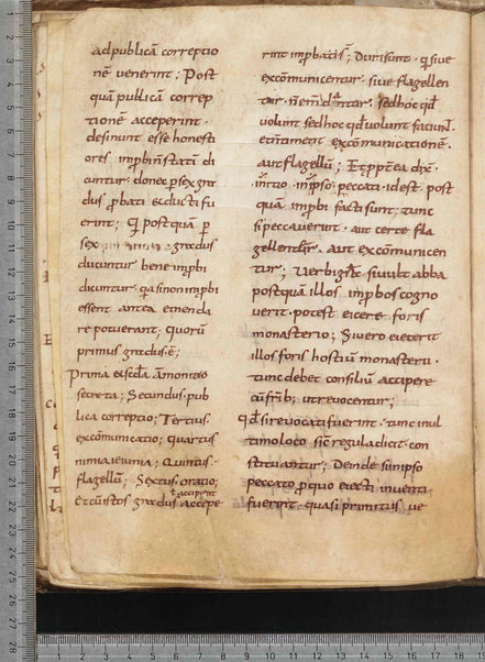 Commentarium in Regulam S. Benedicti; Dialogus quaestionum LXV; Contra Felicianum Arianum de Unitate Trinitatis; Questioni sulla Genesi e sul Deuteronomio; Concordia quorumdam testimoniorum S. Scripturae; Questiones ex novo et vetere testamento