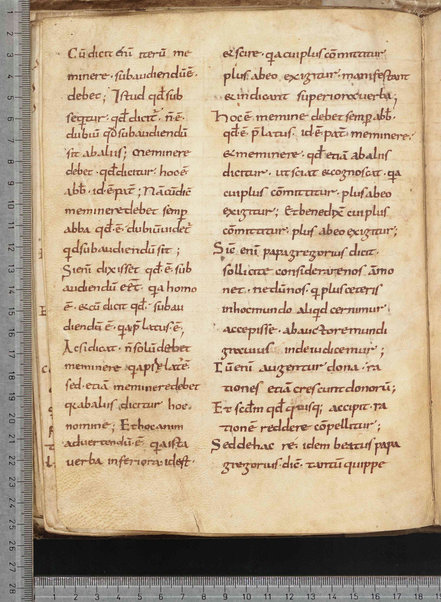 Commentarium in Regulam S. Benedicti; Dialogus quaestionum LXV; Contra Felicianum Arianum de Unitate Trinitatis; Questioni sulla Genesi e sul Deuteronomio; Concordia quorumdam testimoniorum S. Scripturae; Questiones ex novo et vetere testamento