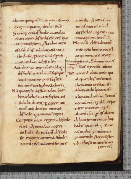 Commentarium in Regulam S. Benedicti; Dialogus quaestionum LXV; Contra Felicianum Arianum de Unitate Trinitatis; Questioni sulla Genesi e sul Deuteronomio; Concordia quorumdam testimoniorum S. Scripturae; Questiones ex novo et vetere testamento