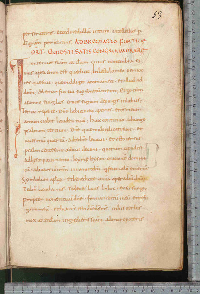 Canones de remediis peccatorum; Litanie dei santi; Exorcismus olei; Donazione del chrisma; Ordo unctio olei; Confessio; De psalmorum usu liber