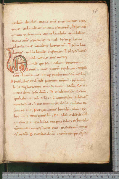 Canones de remediis peccatorum; Litanie dei santi; Exorcismus olei; Donazione del chrisma; Ordo unctio olei; Confessio; De psalmorum usu liber