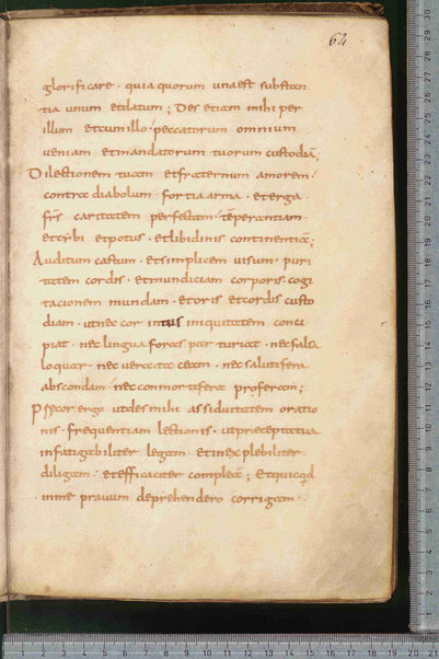 Canones de remediis peccatorum; Litanie dei santi; Exorcismus olei; Donazione del chrisma; Ordo unctio olei; Confessio; De psalmorum usu liber