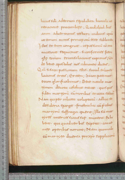 Canones de remediis peccatorum; Litanie dei santi; Exorcismus olei; Donazione del chrisma; Ordo unctio olei; Confessio; De psalmorum usu liber