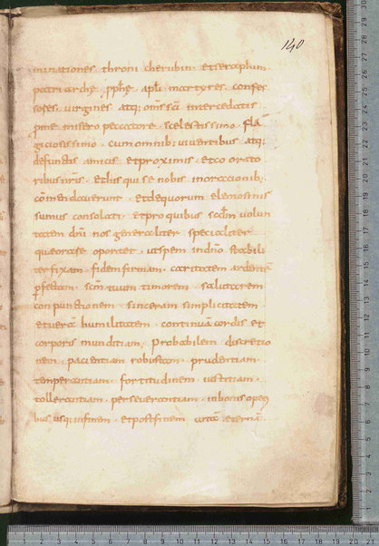 Canones de remediis peccatorum; Litanie dei santi; Exorcismus olei; Donazione del chrisma; Ordo unctio olei; Confessio; De psalmorum usu liber