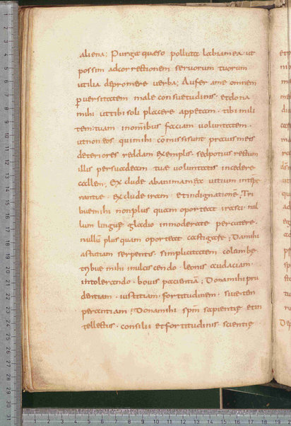 Canones de remediis peccatorum; Litanie dei santi; Exorcismus olei; Donazione del chrisma; Ordo unctio olei; Confessio; De psalmorum usu liber