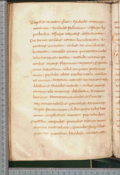 Canones de remediis peccatorum; Litanie dei santi; Exorcismus olei; Donazione del chrisma; Ordo unctio olei; Confessio; De psalmorum usu liber