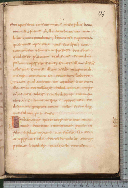 Canones de remediis peccatorum; Litanie dei santi; Exorcismus olei; Donazione del chrisma; Ordo unctio olei; Confessio; De psalmorum usu liber