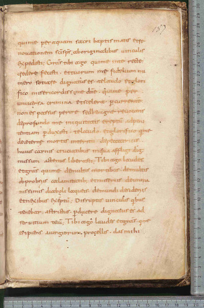 Canones de remediis peccatorum; Litanie dei santi; Exorcismus olei; Donazione del chrisma; Ordo unctio olei; Confessio; De psalmorum usu liber