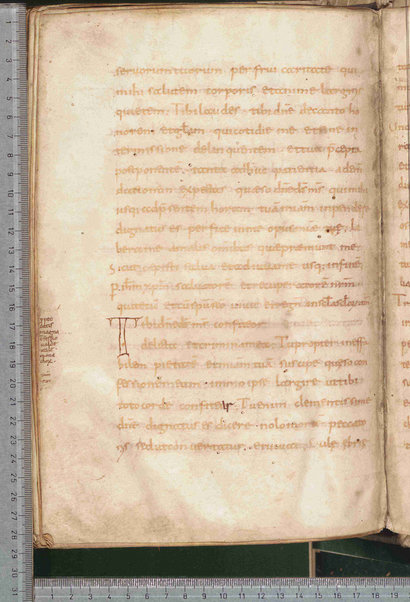 Canones de remediis peccatorum; Litanie dei santi; Exorcismus olei; Donazione del chrisma; Ordo unctio olei; Confessio; De psalmorum usu liber