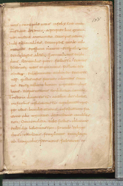 Canones de remediis peccatorum; Litanie dei santi; Exorcismus olei; Donazione del chrisma; Ordo unctio olei; Confessio; De psalmorum usu liber