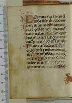 manoscrittoantico/BNCR_Ms_VE_0039/BNCR_Ms_VE_0039/136