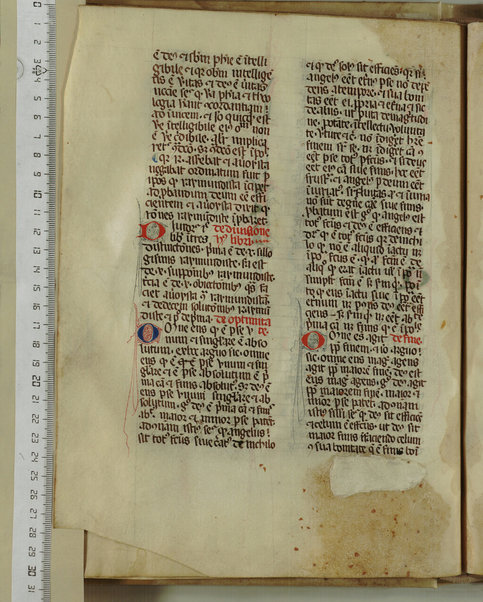 Pandette; Liber natalis pueri parvuli Christi; Liber lamentationis philosophie; Liber de Deo ignoto et de mundo ignoto; Liber facilis scientie; Liber de divina unitate et pluralitate; De efficiente et effectu; De fallatiis quas non credunt facere alicui qui credunt esse philosophantes contra purissimum actum dei verissimum et perfectissimum; Disputatio Raymundi et averoyste; Liber contraditionis; De silogismis contradictoriis; Sermones contra errores averoys; Demonstratio per equiparantiam; Liber correlationorum ignotorum; Liber de forma dei; De existentia et agentia dei; De questione valde alta et profunda