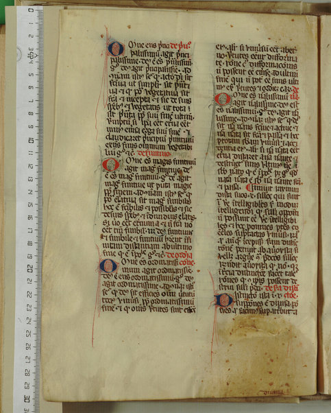 Pandette; Liber natalis pueri parvuli Christi; Liber lamentationis philosophie; Liber de Deo ignoto et de mundo ignoto; Liber facilis scientie; Liber de divina unitate et pluralitate; De efficiente et effectu; De fallatiis quas non credunt facere alicui qui credunt esse philosophantes contra purissimum actum dei verissimum et perfectissimum; Disputatio Raymundi et averoyste; Liber contraditionis; De silogismis contradictoriis; Sermones contra errores averoys; Demonstratio per equiparantiam; Liber correlationorum ignotorum; Liber de forma dei; De existentia et agentia dei; De questione valde alta et profunda