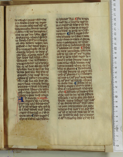 Pandette; Liber natalis pueri parvuli Christi; Liber lamentationis philosophie; Liber de Deo ignoto et de mundo ignoto; Liber facilis scientie; Liber de divina unitate et pluralitate; De efficiente et effectu; De fallatiis quas non credunt facere alicui qui credunt esse philosophantes contra purissimum actum dei verissimum et perfectissimum; Disputatio Raymundi et averoyste; Liber contraditionis; De silogismis contradictoriis; Sermones contra errores averoys; Demonstratio per equiparantiam; Liber correlationorum ignotorum; Liber de forma dei; De existentia et agentia dei; De questione valde alta et profunda