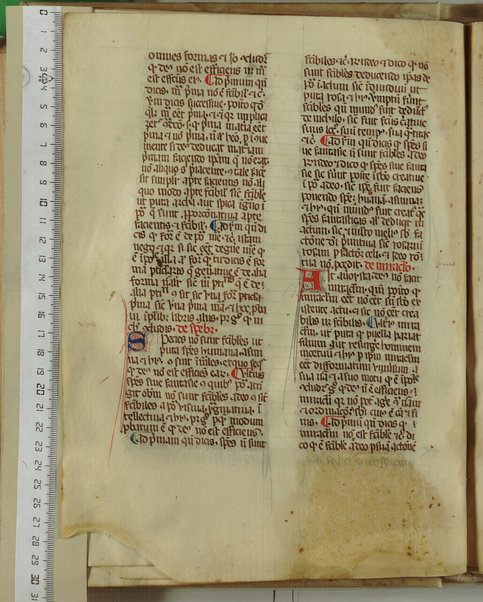 Pandette; Liber natalis pueri parvuli Christi; Liber lamentationis philosophie; Liber de Deo ignoto et de mundo ignoto; Liber facilis scientie; Liber de divina unitate et pluralitate; De efficiente et effectu; De fallatiis quas non credunt facere alicui qui credunt esse philosophantes contra purissimum actum dei verissimum et perfectissimum; Disputatio Raymundi et averoyste; Liber contraditionis; De silogismis contradictoriis; Sermones contra errores averoys; Demonstratio per equiparantiam; Liber correlationorum ignotorum; Liber de forma dei; De existentia et agentia dei; De questione valde alta et profunda