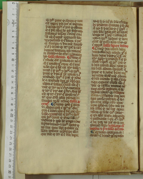 Pandette; Liber natalis pueri parvuli Christi; Liber lamentationis philosophie; Liber de Deo ignoto et de mundo ignoto; Liber facilis scientie; Liber de divina unitate et pluralitate; De efficiente et effectu; De fallatiis quas non credunt facere alicui qui credunt esse philosophantes contra purissimum actum dei verissimum et perfectissimum; Disputatio Raymundi et averoyste; Liber contraditionis; De silogismis contradictoriis; Sermones contra errores averoys; Demonstratio per equiparantiam; Liber correlationorum ignotorum; Liber de forma dei; De existentia et agentia dei; De questione valde alta et profunda