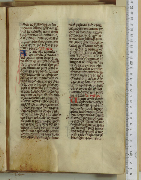 Pandette; Liber natalis pueri parvuli Christi; Liber lamentationis philosophie; Liber de Deo ignoto et de mundo ignoto; Liber facilis scientie; Liber de divina unitate et pluralitate; De efficiente et effectu; De fallatiis quas non credunt facere alicui qui credunt esse philosophantes contra purissimum actum dei verissimum et perfectissimum; Disputatio Raymundi et averoyste; Liber contraditionis; De silogismis contradictoriis; Sermones contra errores averoys; Demonstratio per equiparantiam; Liber correlationorum ignotorum; Liber de forma dei; De existentia et agentia dei; De questione valde alta et profunda