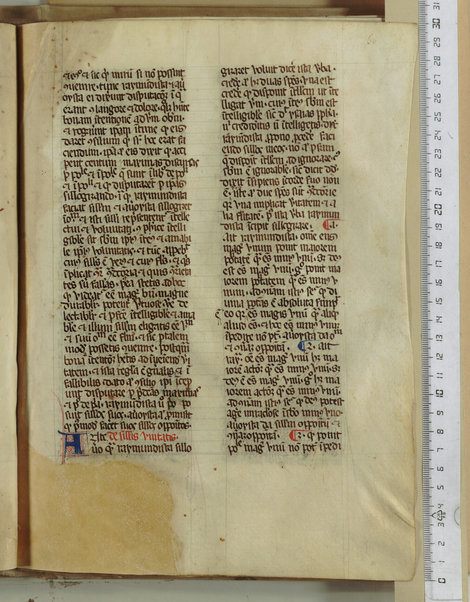 Pandette; Liber natalis pueri parvuli Christi; Liber lamentationis philosophie; Liber de Deo ignoto et de mundo ignoto; Liber facilis scientie; Liber de divina unitate et pluralitate; De efficiente et effectu; De fallatiis quas non credunt facere alicui qui credunt esse philosophantes contra purissimum actum dei verissimum et perfectissimum; Disputatio Raymundi et averoyste; Liber contraditionis; De silogismis contradictoriis; Sermones contra errores averoys; Demonstratio per equiparantiam; Liber correlationorum ignotorum; Liber de forma dei; De existentia et agentia dei; De questione valde alta et profunda