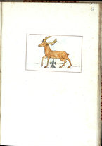 manoscrittoantico/BNCR_Ms_VE_0307/BNCR_Ms_VE_0307/60