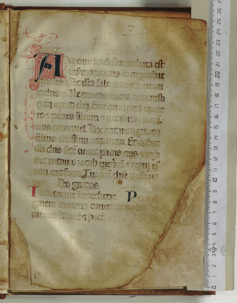 Laudario francescano; Libro di preghiere