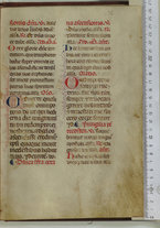 manoscrittoantico/BNCR_Ms_VE_0350/BNCR_Ms_VE_0350/197