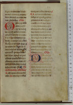 manoscrittoantico/BNCR_Ms_VE_0350/BNCR_Ms_VE_0350/229