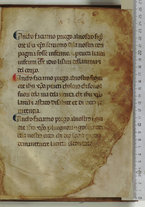manoscrittoantico/BNCR_Ms_VE_0350/BNCR_Ms_VE_0350/23