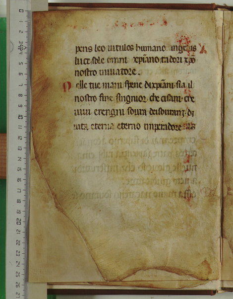 Laudario francescano; Libro di preghiere