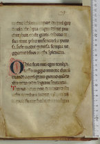 manoscrittoantico/BNCR_Ms_VE_0350/BNCR_Ms_VE_0350/51