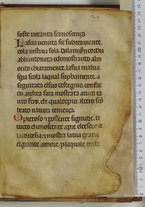 manoscrittoantico/BNCR_Ms_VE_0350/BNCR_Ms_VE_0350/53