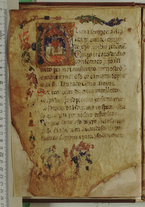 manoscrittoantico/BNCR_Ms_VE_0350/BNCR_Ms_VE_0350/62