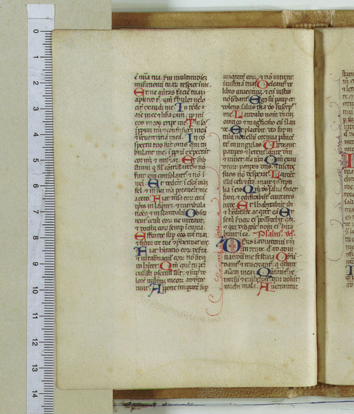 Breviarum franciscanum