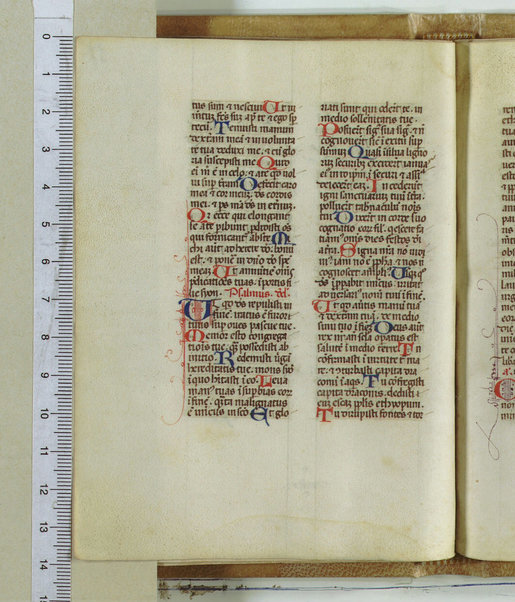 Breviarum franciscanum