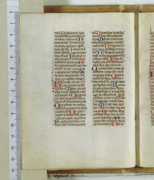 Breviarum franciscanum