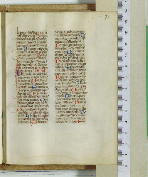 Breviarum franciscanum