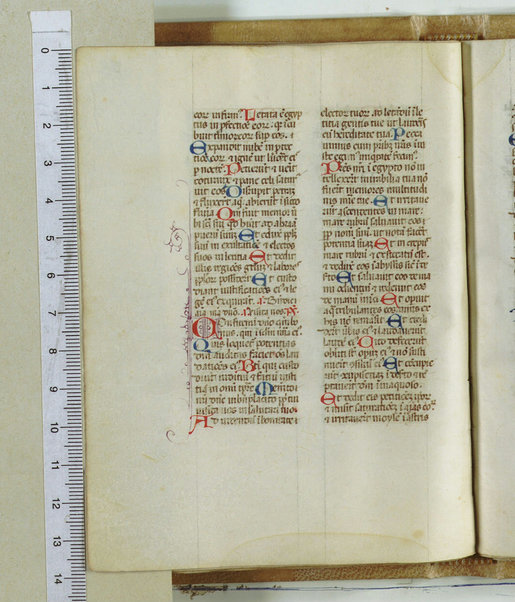 Breviarum franciscanum