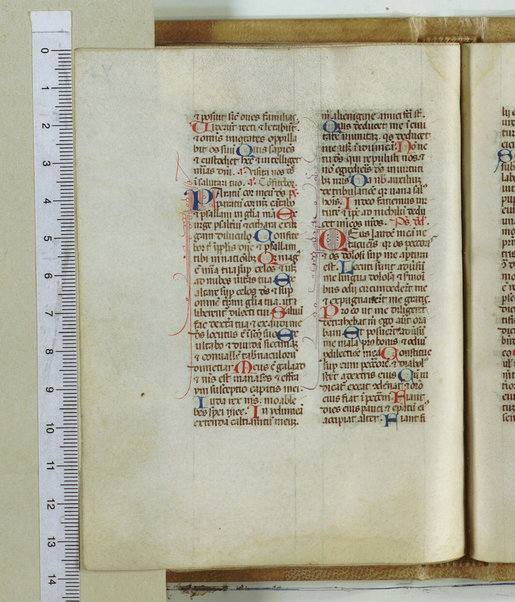 Breviarum franciscanum