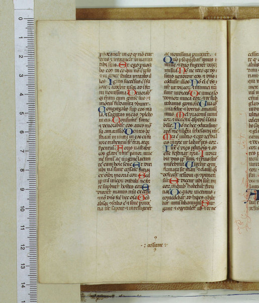 Breviarum franciscanum