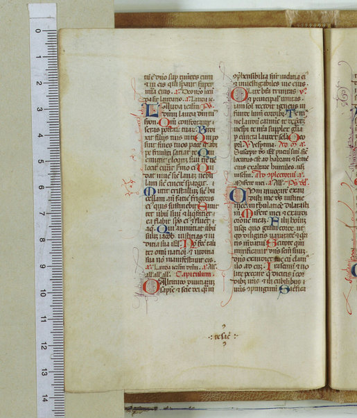 Breviarum franciscanum