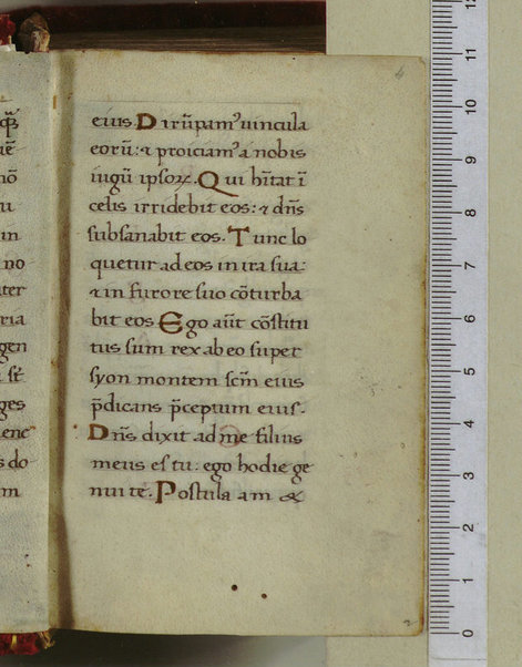 Psalterium