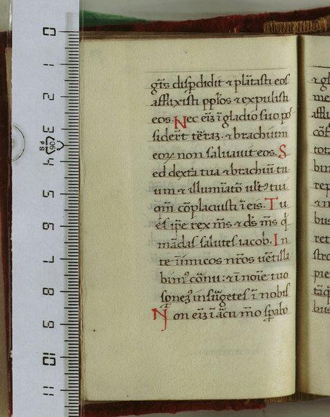 Psalterium