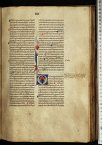 manoscrittoantico/BNCR_Ms_VE_0796/BNCR_Ms_VE_0796/117