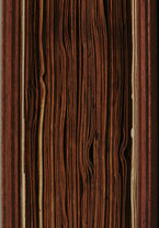 manoscrittoantico/BNCR_Ms_VE_0796/BNCR_Ms_VE_0796/332