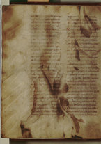 manoscrittoantico/BNCR_Ms_VE_1631/BNCR_Ms_VE_1631/14