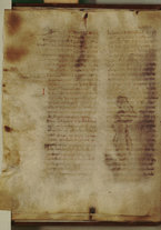 manoscrittoantico/BNCR_Ms_VE_1631/BNCR_Ms_VE_1631/24