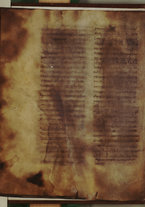 manoscrittoantico/BNCR_Ms_VE_1631/BNCR_Ms_VE_1631/8