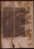 manoscrittoantico/BNCR_Ms_VE_1632/BNCR_Ms_VE_1632/113