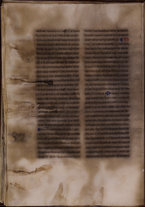 manoscrittoantico/BNCR_Ms_VE_1632/BNCR_Ms_VE_1632/116