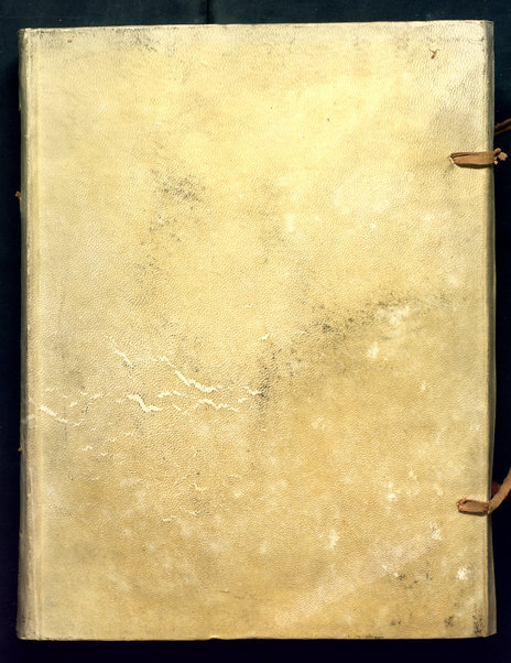 Raccolta di commentari ed altri documenti riferentisi in gran parte, alla storia del Regno di Francia