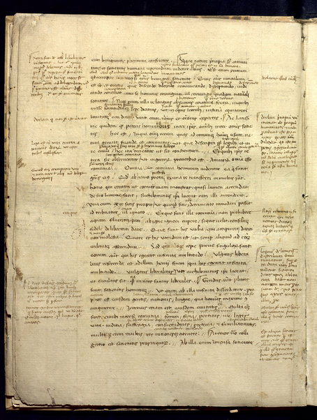 De officiis (cc. 1r-63v); De disciplina scholarium (cc. 65r-74r)